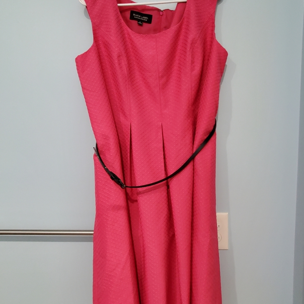 Black Label Pretty in Pink and Black Belt Dress